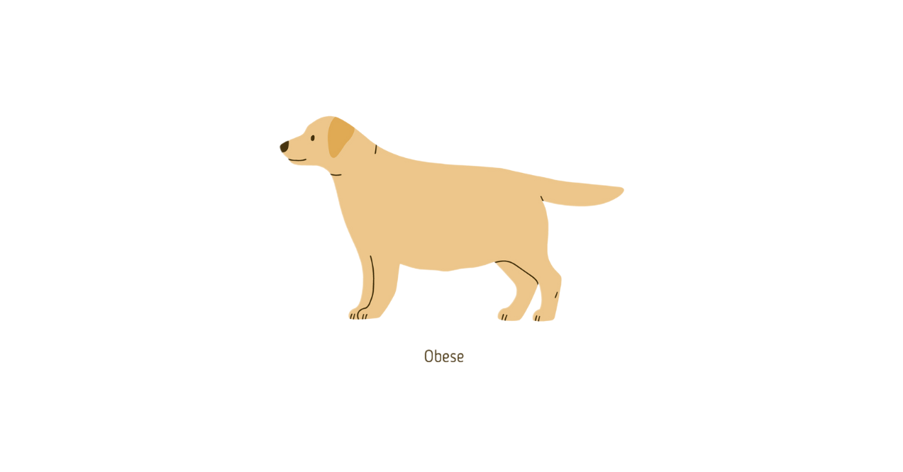 Illustration of an obese dog, side view