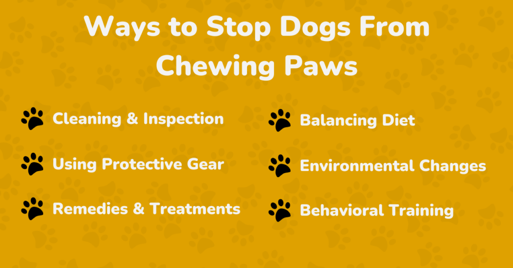 How to Stop Dogs From Chewing Paws? | PetMade