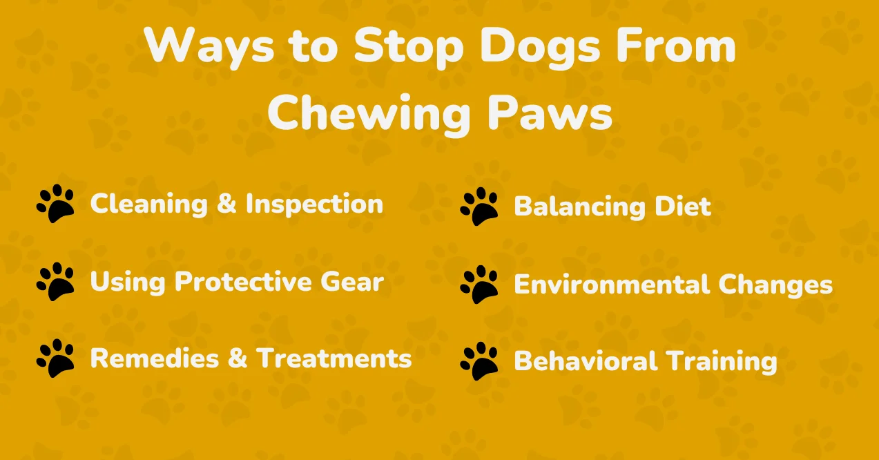 Infographic on stopping dogs from chewing paws