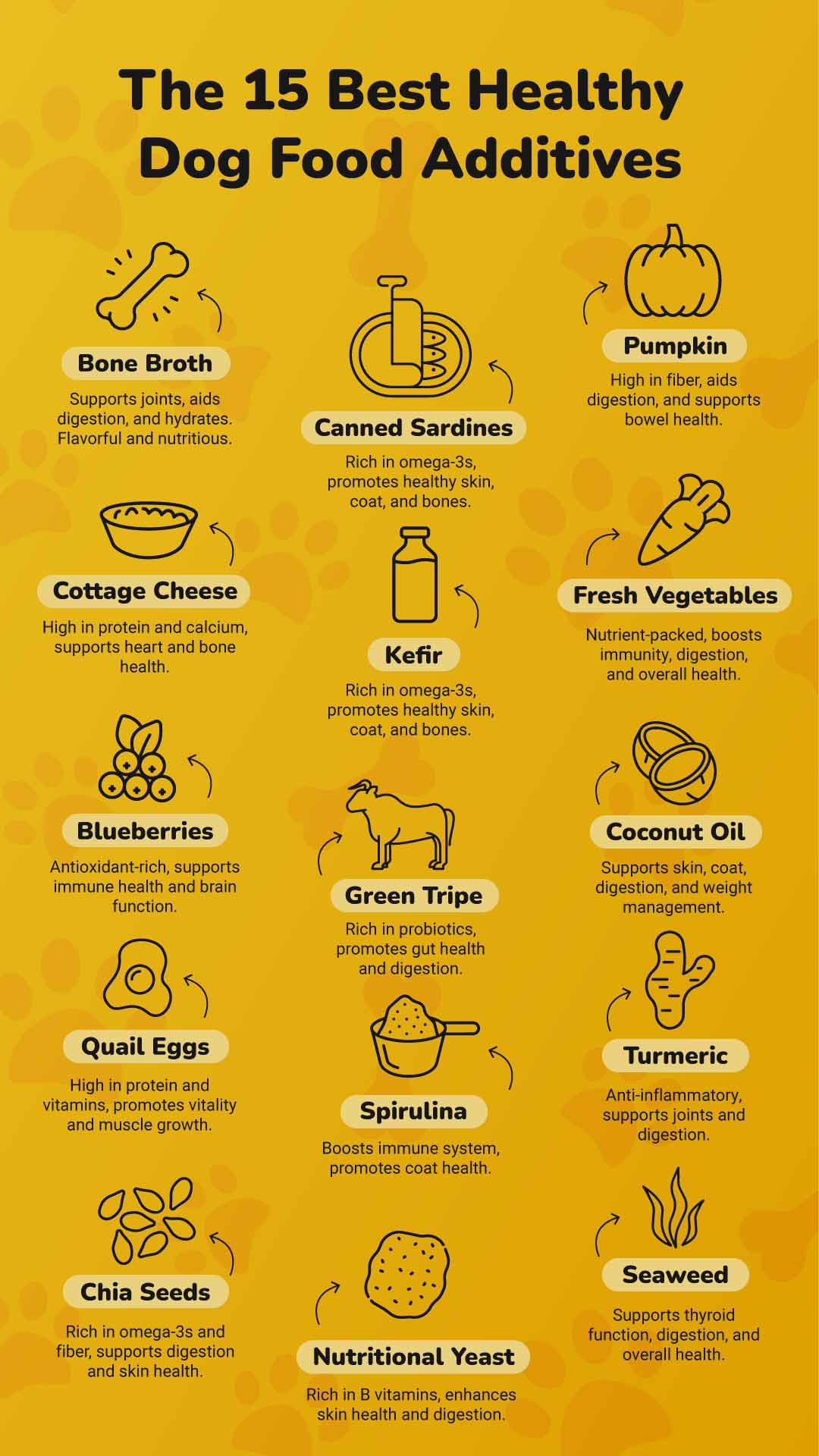 Infographic showcasing the 15 food additives for dogs