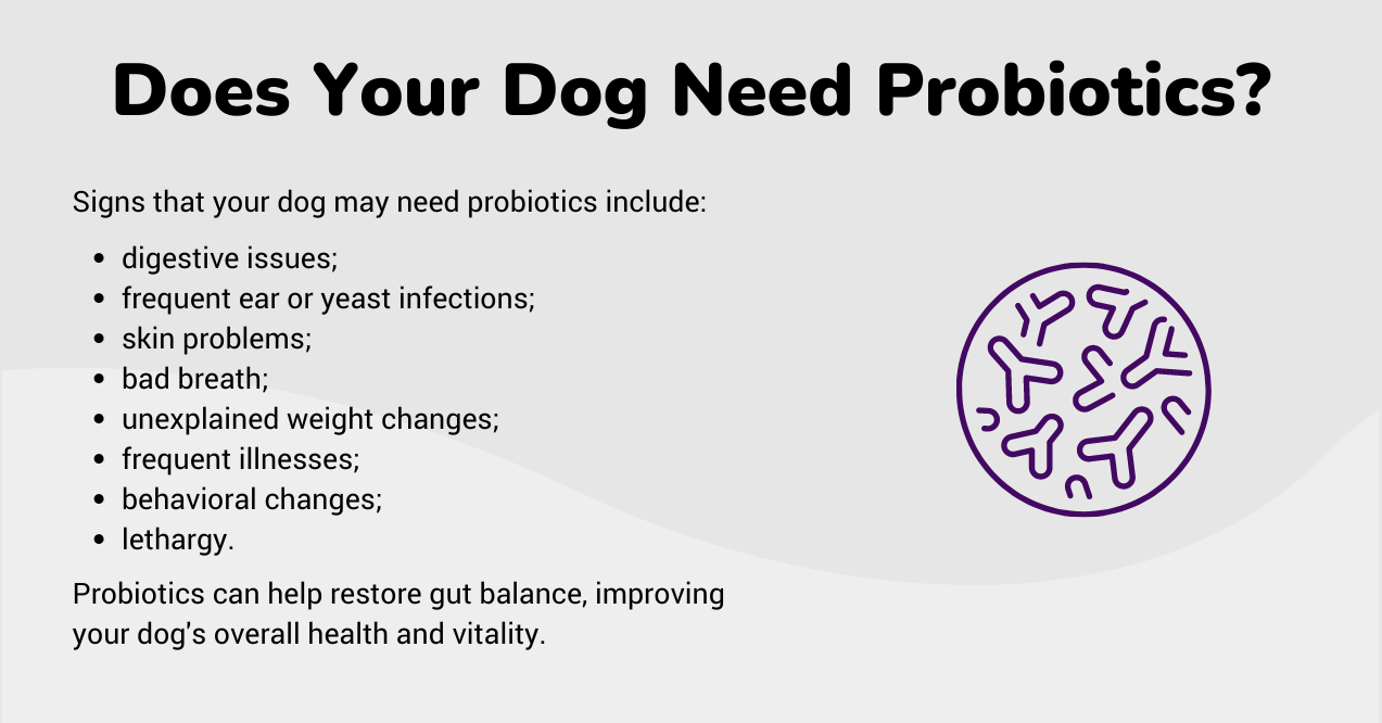 Infographic showcasing signs that a dog needs probiotics