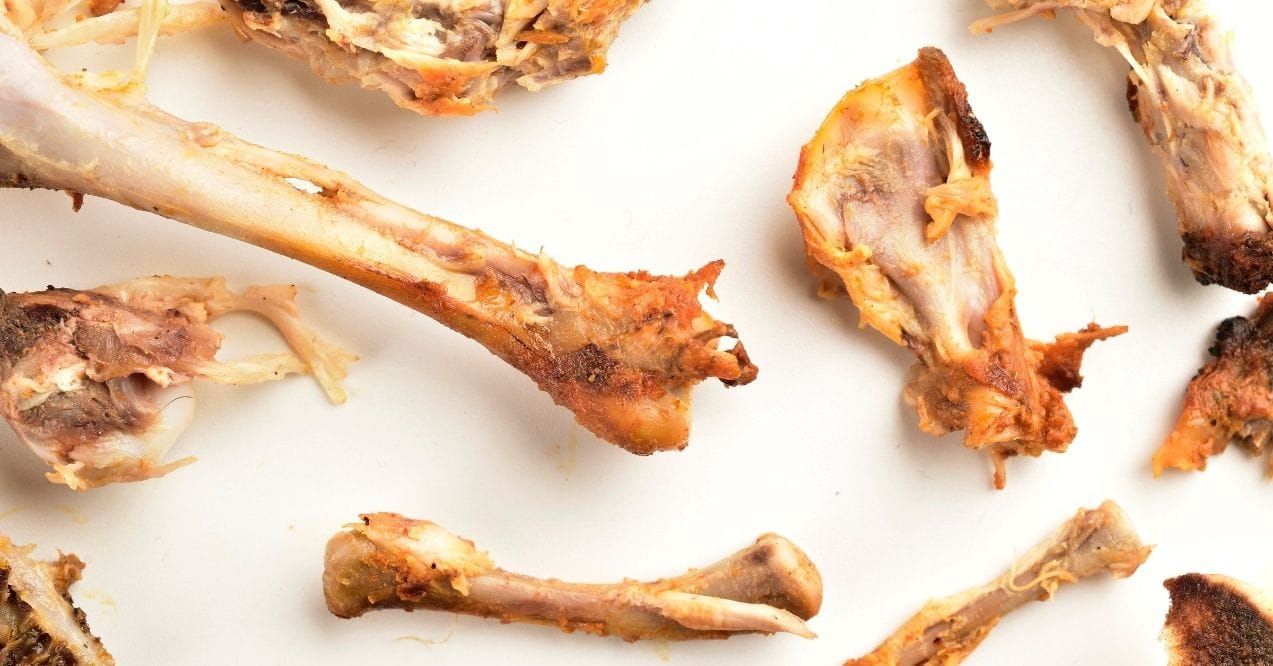 Cooked chicken bones on a white surface