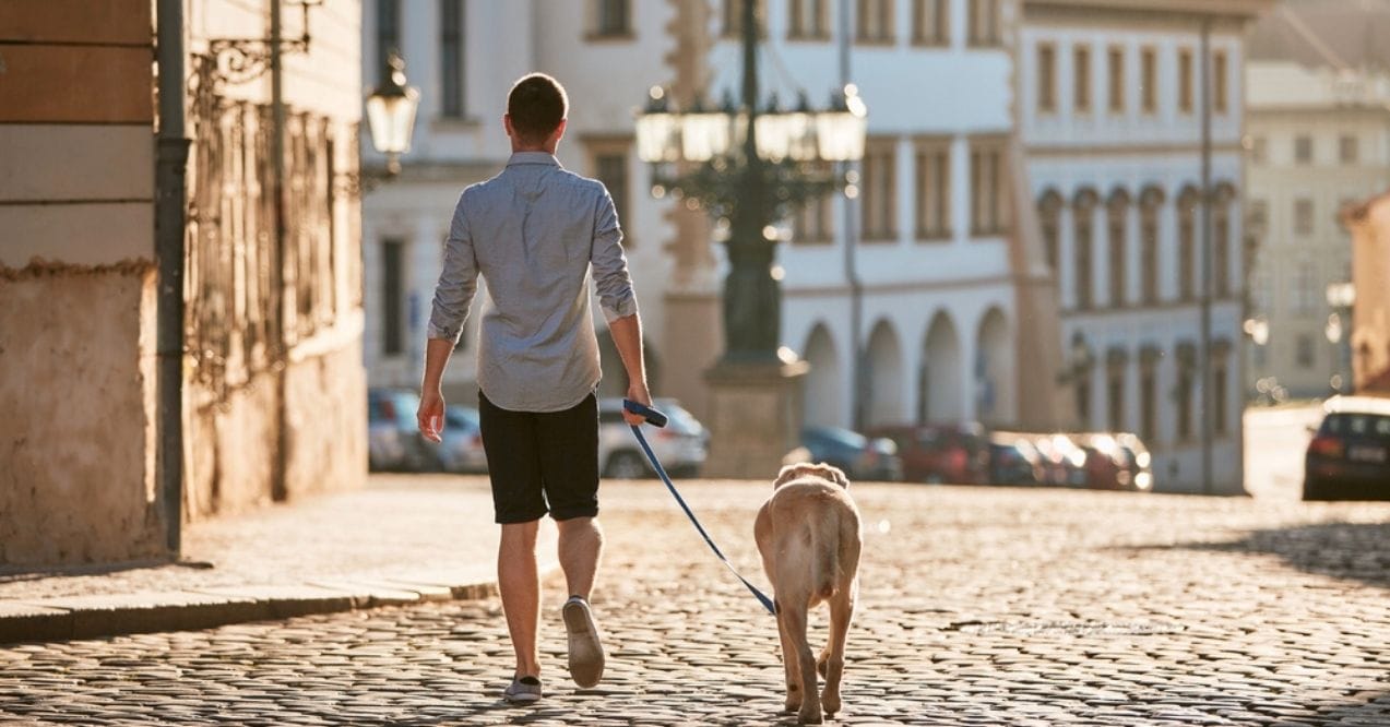 A man walking his dog on a cobblestone street in a sunny town