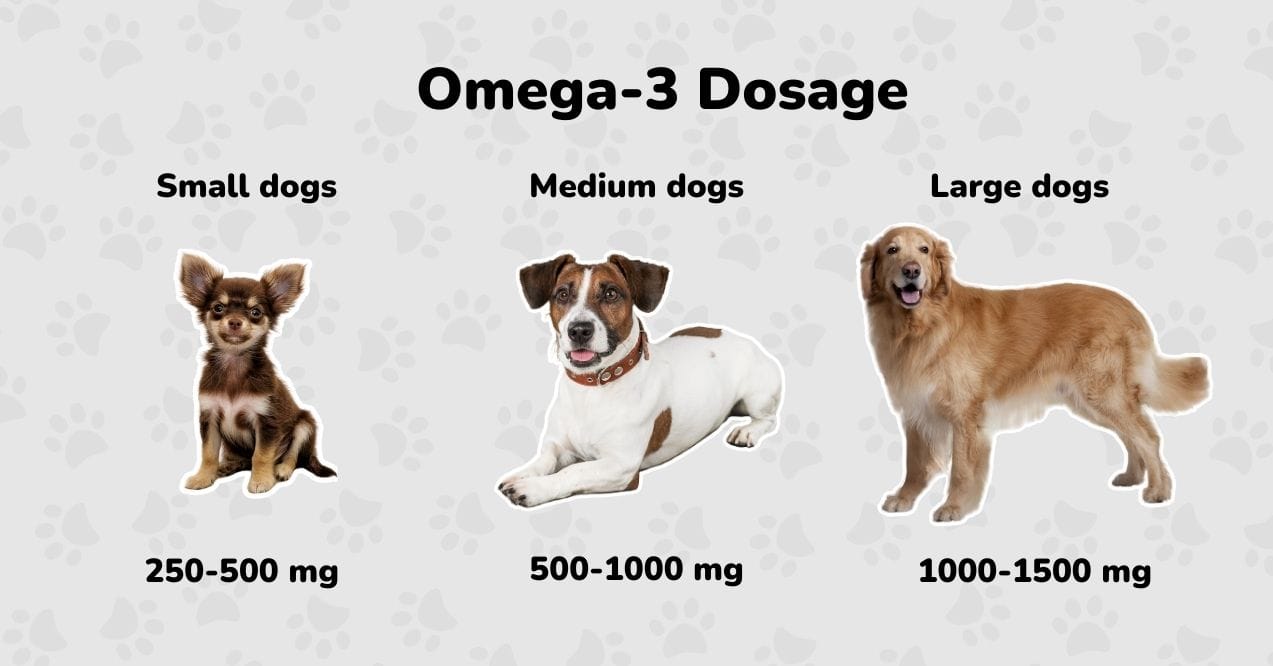 A dosage guide for omega-3 for dogs, showing small, medium, and large breeds with recommended mg.