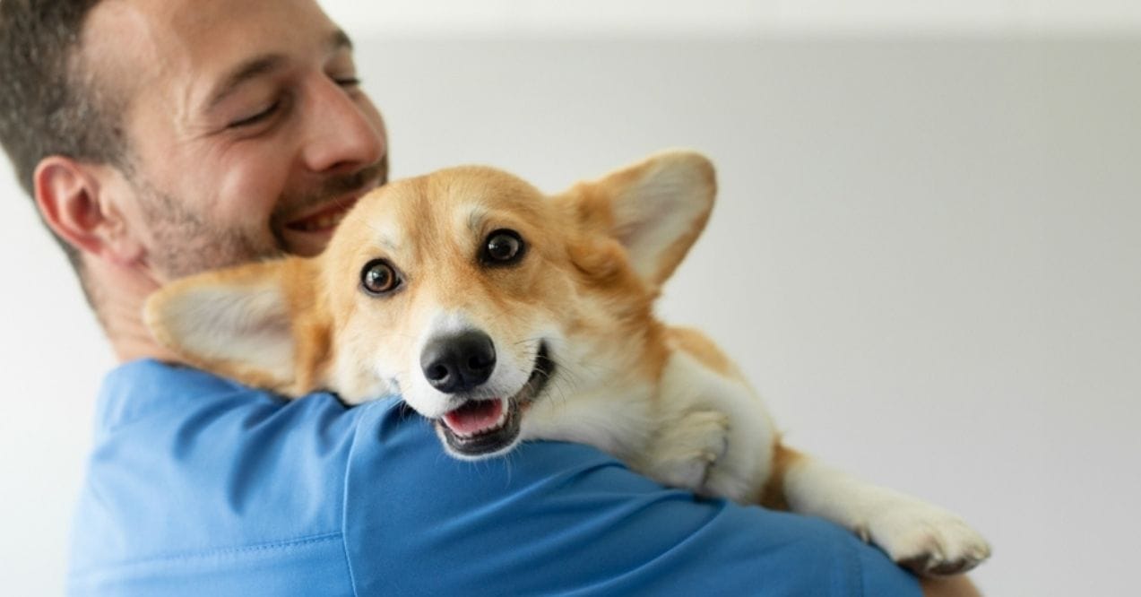 Happy corgi being hugged by a smiling vet