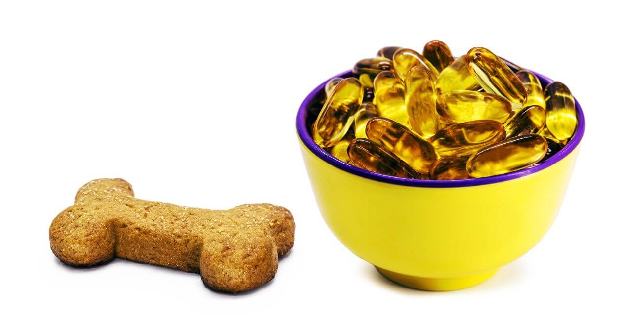 A yellow bowl with omega-3 capsules and a dog treat, promoting omega-3 for dogs.