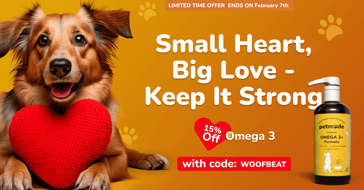 PetMade Omega 3+ promotional banner