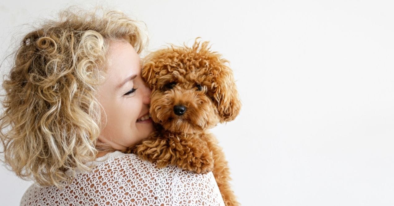 Woman hugging a toy poodle lovingly