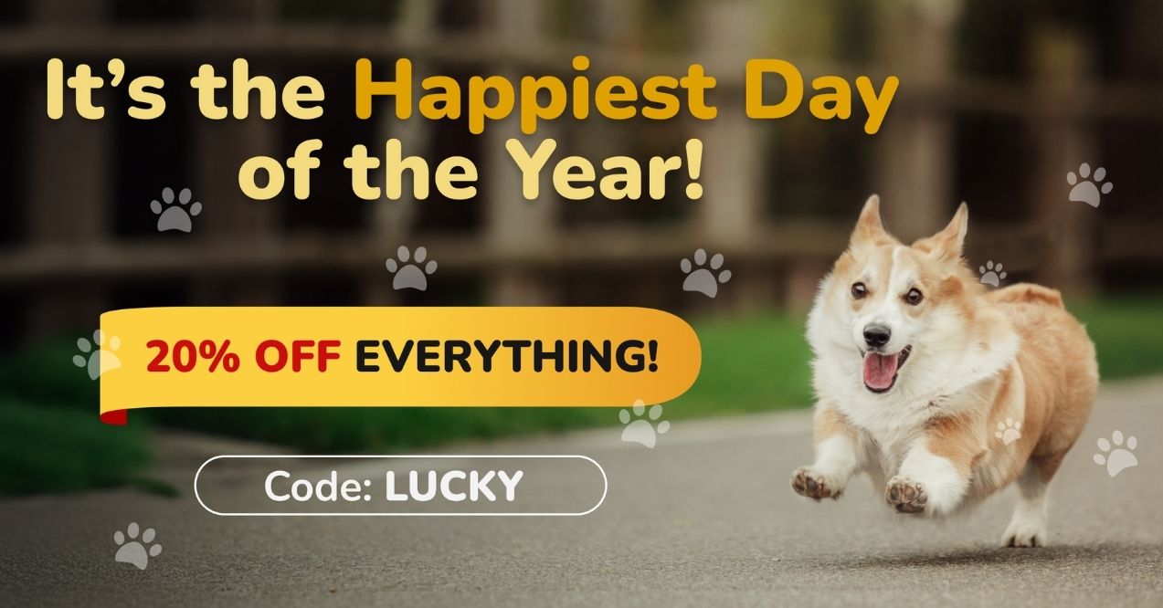 Happy Corgi running with a 20% off sale announcement