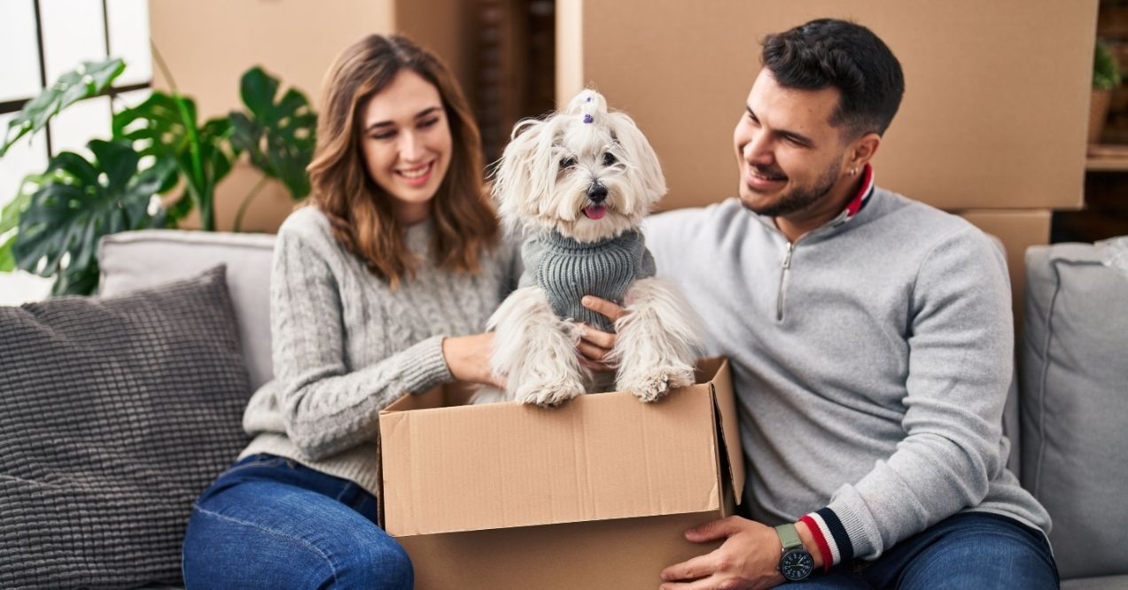 Couple smiling as small dog sits in a moving box