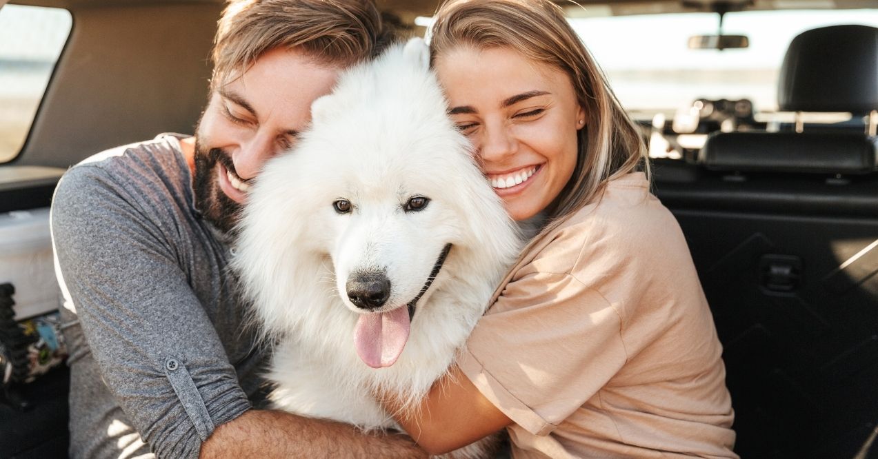 Couple hugging a white dog in a car trunk