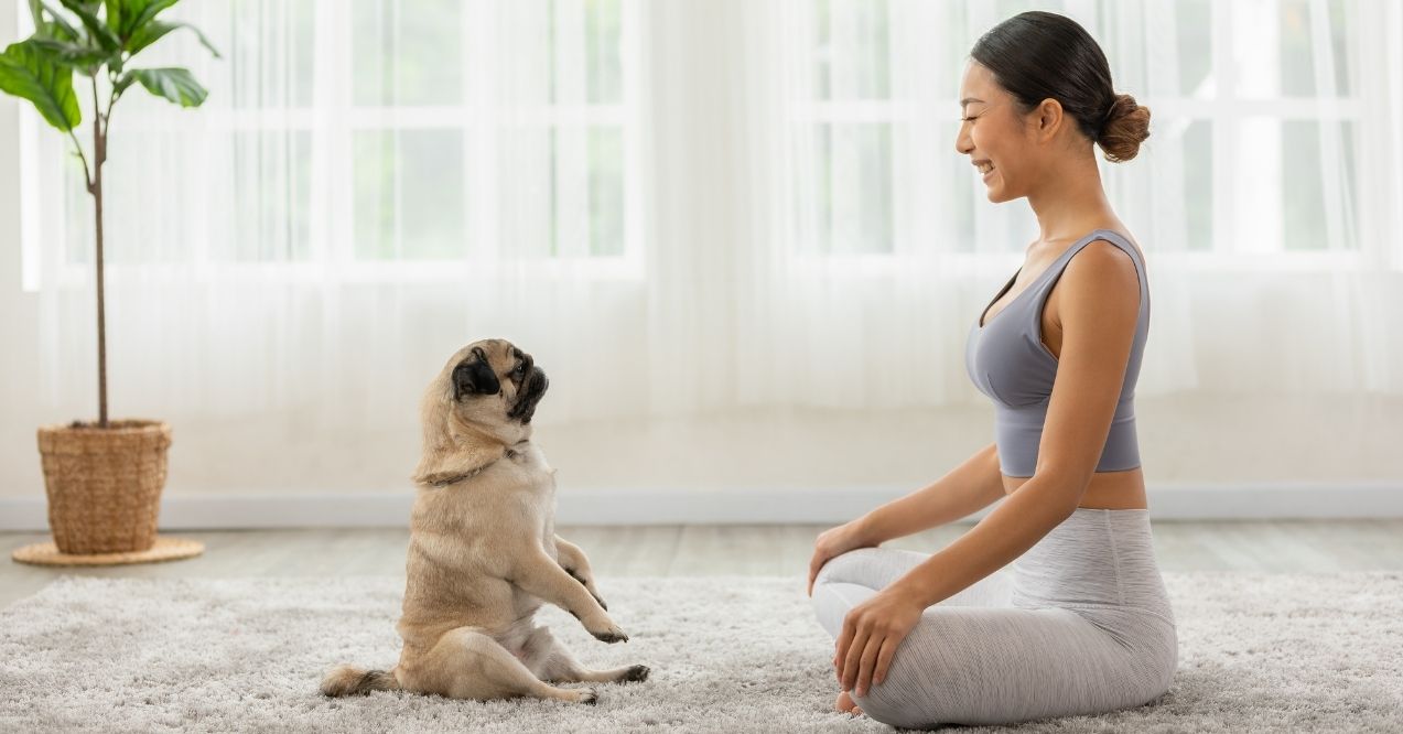 Woman and pug sitting on a carpet facing each other in a meditation pose
