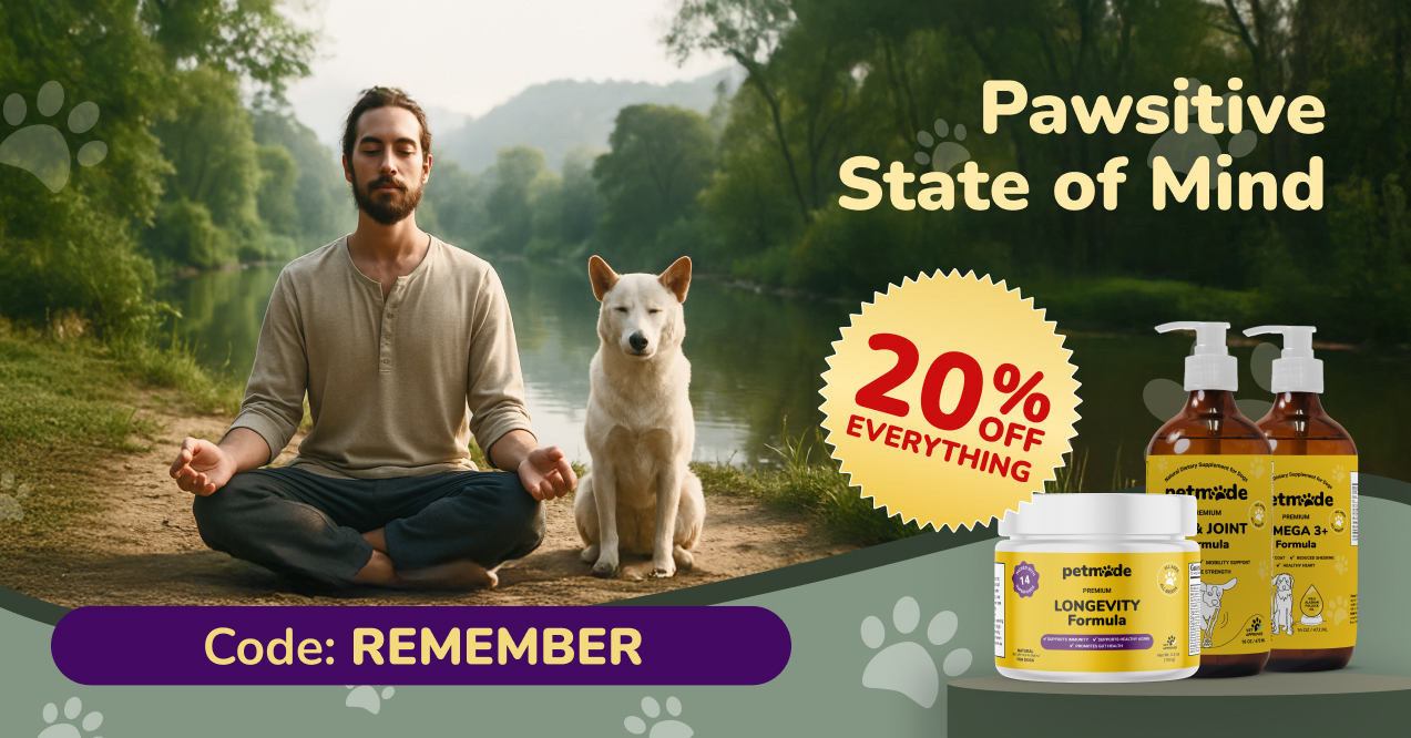 Man and dog meditating by a lake with PetMade supplement promo banner