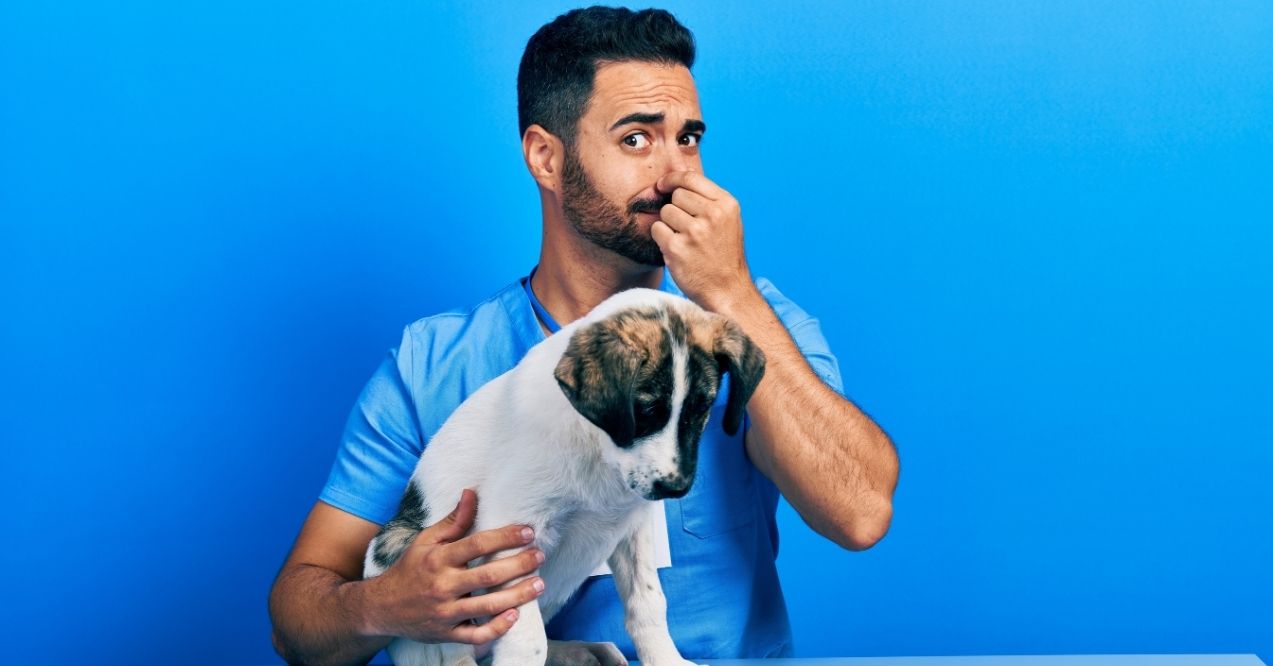 Man in scrubs holding a dog and plugging his nose