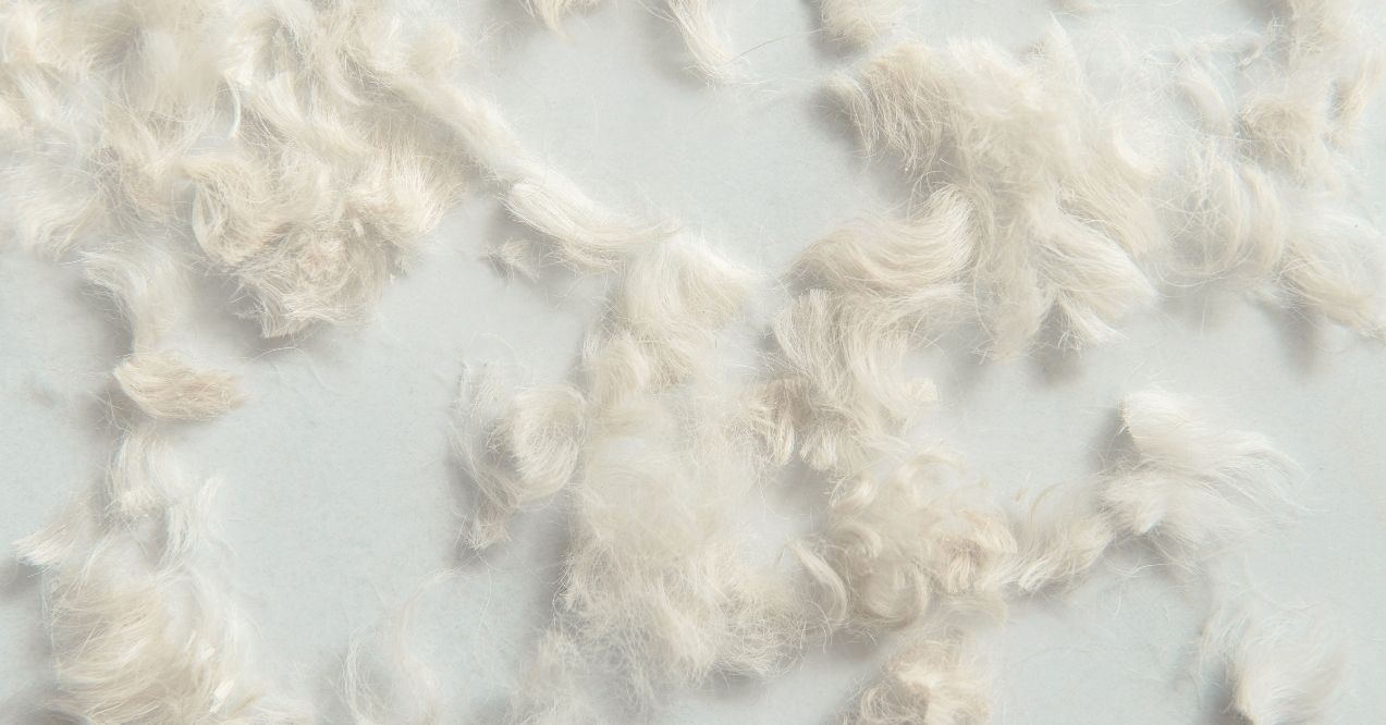 Piles of dog fur on a surface