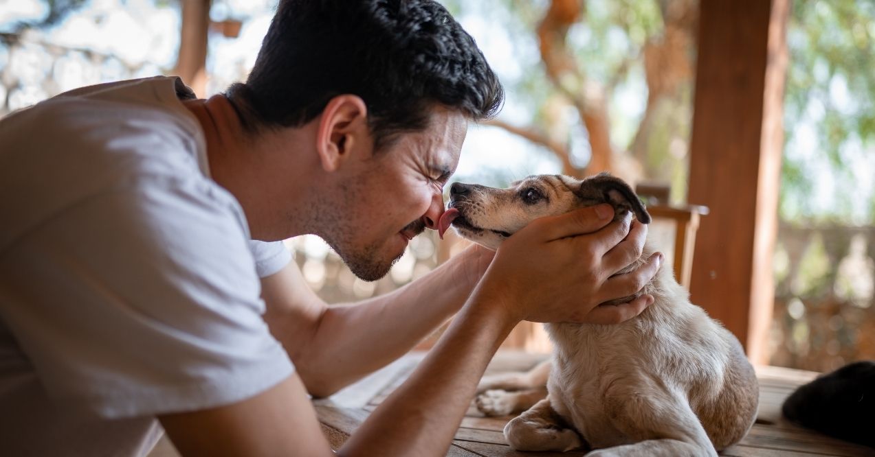 Man touching noses with his dog as it licks his face