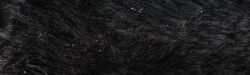 Close-up of dog fur with visible dandruff